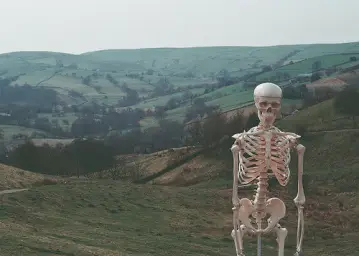 Skeleton vacation