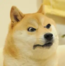 Disappointed Doge