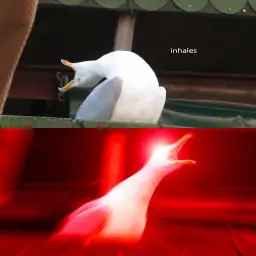 inhaling bird meme