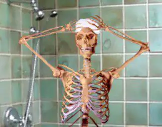 Shower skeleton