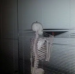 Skeleton waiting at window