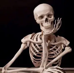 Waiting Skeleton