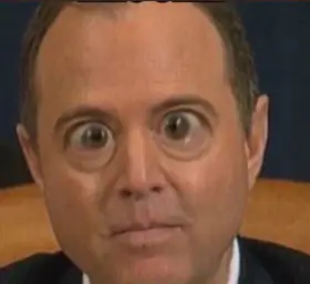 Schiff BUG EYE