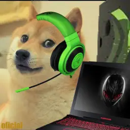 Gamer Doge