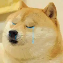 doge crying