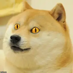 Doge Snake Eyes