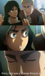 Erwin meme