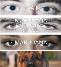 eyes on drugs