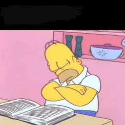 Homer simpson sleeping