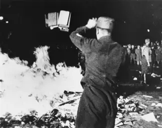 Book Burning Nazi Germany