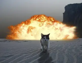 cat explosion