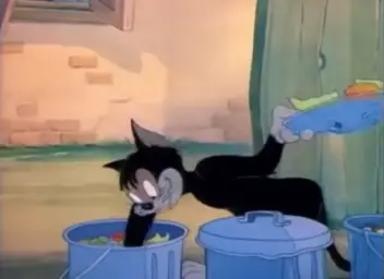 Butch cat garbage picking