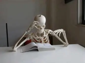 skeleton reading book