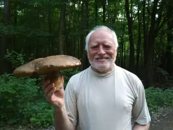 Hide The Pain Harold Holding A Mushroom