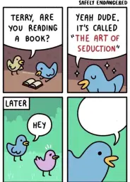 The art of seduction