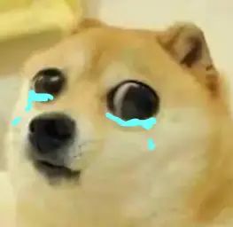 big eyes crying doge