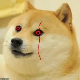 Evil Doge