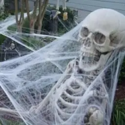 skeleton with spider web