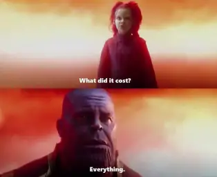 what did it cost