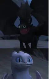 Toothless and Lightfury meme