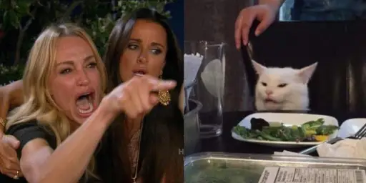 Woman Screaming at Cat