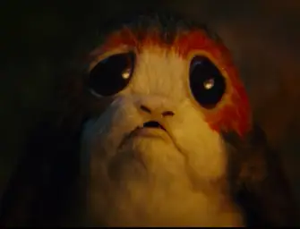 Porg with big sad eyes