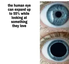 Human eye