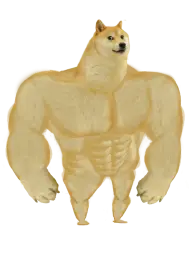 Swole Doge