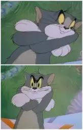 Tom and jerry