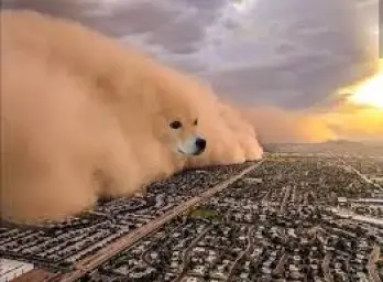 dog sandstorm