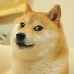 Square Doge