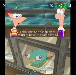 Look ferb this one's looking at both of us at the Same time