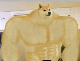 Buff Doge