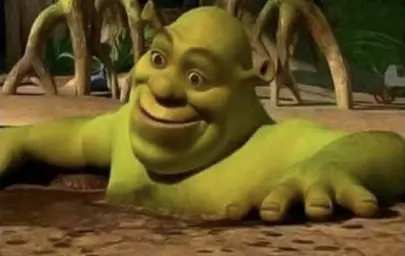 Shocked Shrek