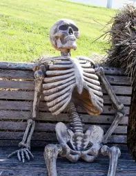 Waiting Skeleton