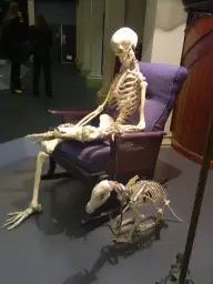 Waiting Skeleton