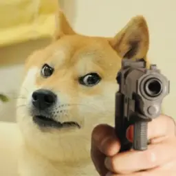 Angry doge