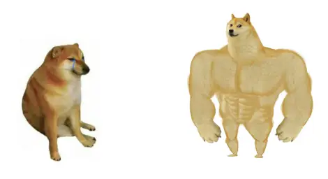 Swole Doge vs. Cheems flipped