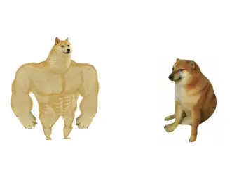 Swole Doge VS Cheem (big version)