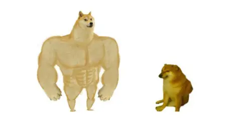 Doge before after