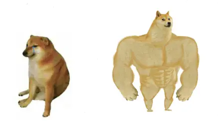 Buff Doge vs. Cheems (reversed)