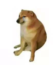 Weak doge alone