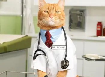 Cat Doctor