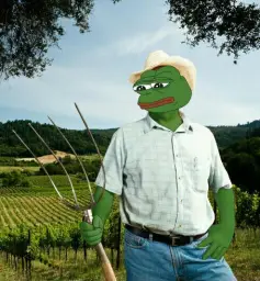 pepe farmer