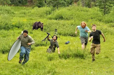 Bear photography gone wrong