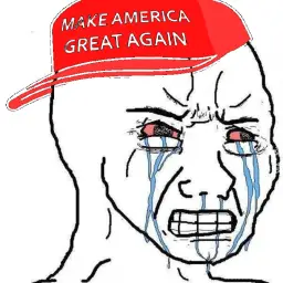 Crying wojak maga