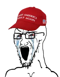 Crying MAGA wojak