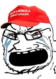 Crying MAGA wojak