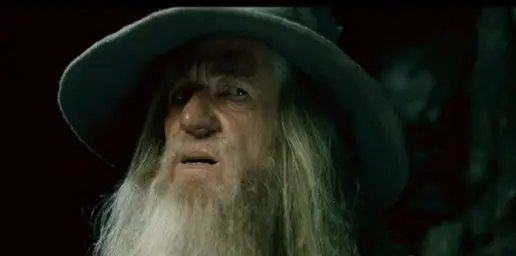 CONFUSED GANDALF