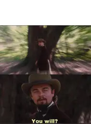 You will? Leonardo, django